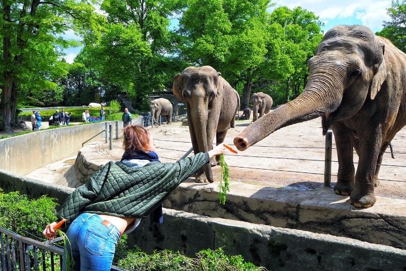 Tierpark Hagenbeck