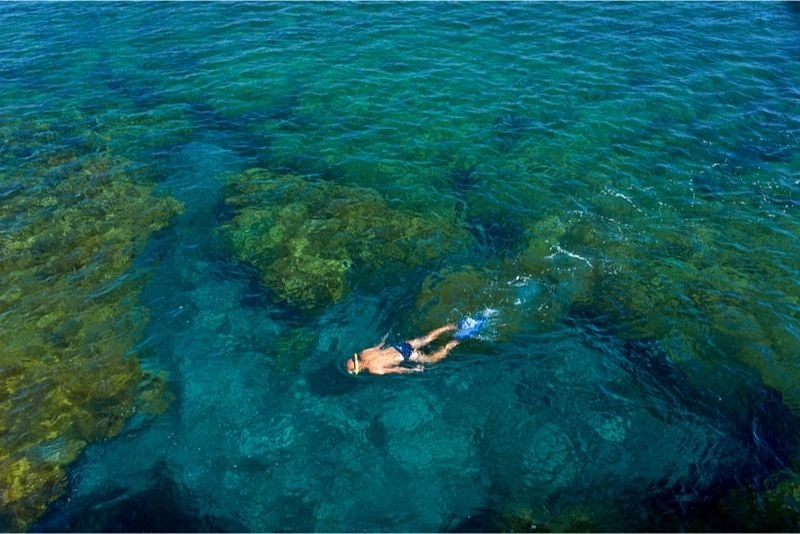 snorkeling Lanzarote