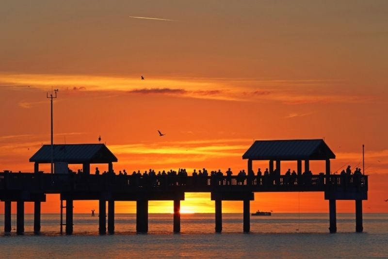 52 Fun Things to Do in Clearwater, Florida - TourScanner