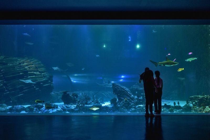 Atlantis Aquarium, Madrid