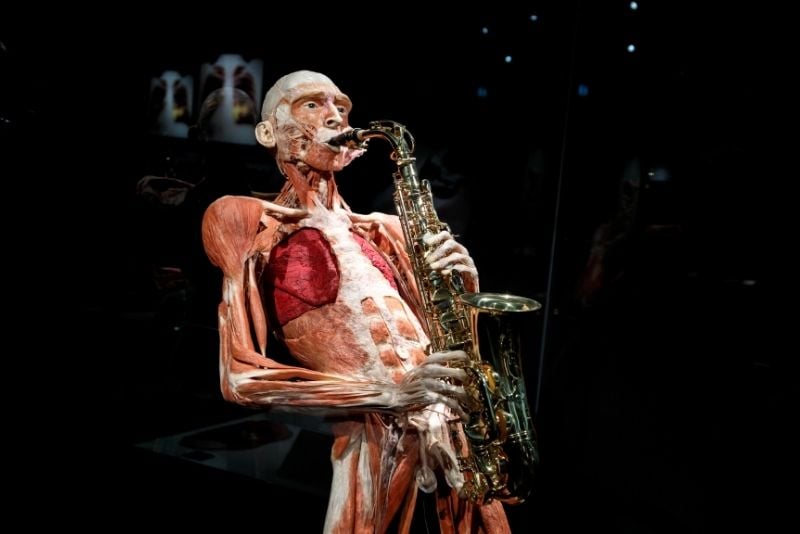 Body Worlds, Amsterdam