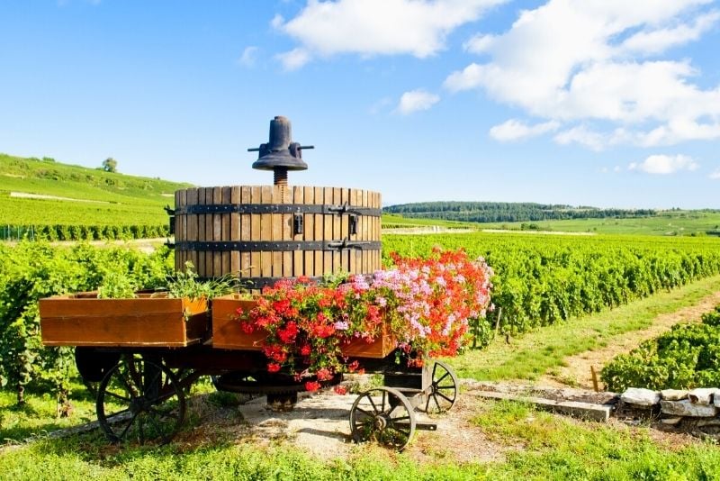 Visite des vins de Bourgogne au départ de Paris