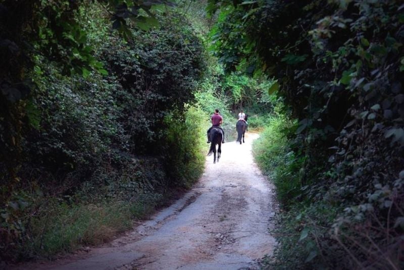 Camino Real Menorca