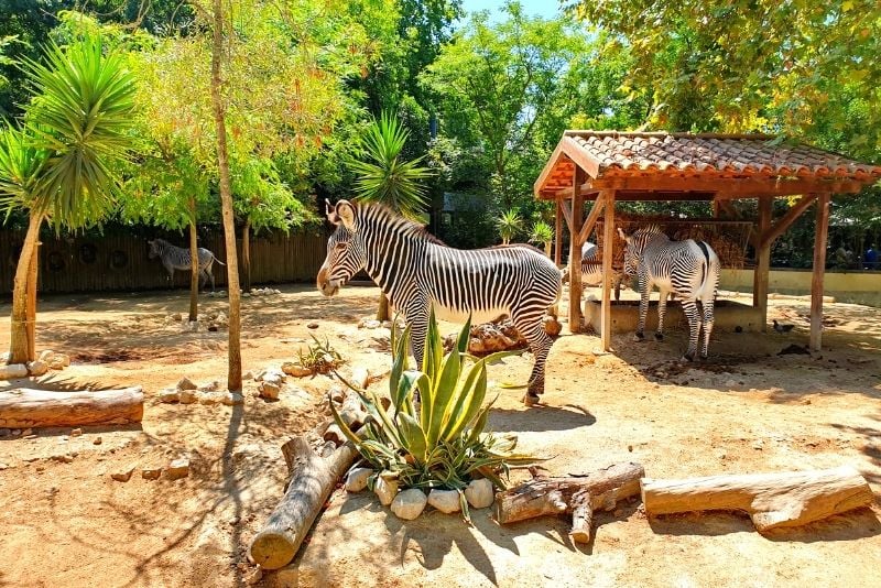 Zoo de Lisbonne