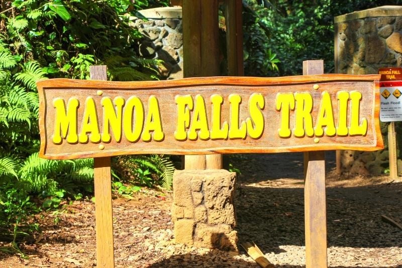 Manoa Falls trail, Oahu