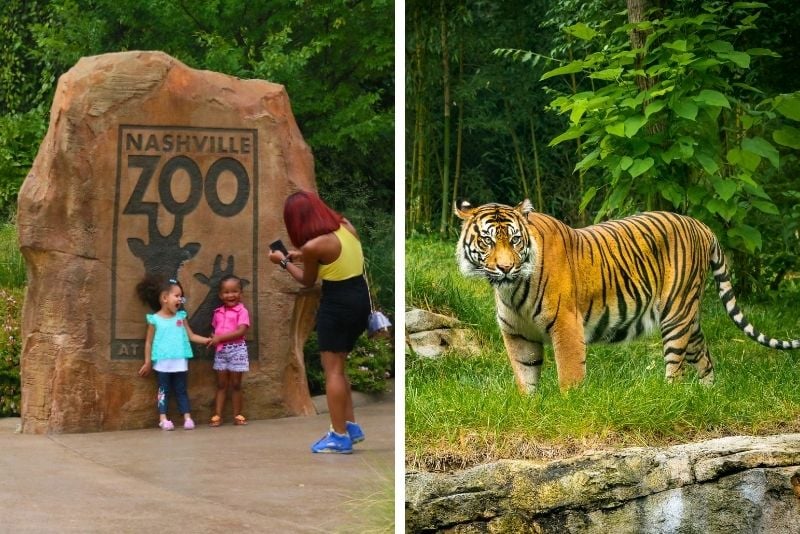 Nashville Zoo