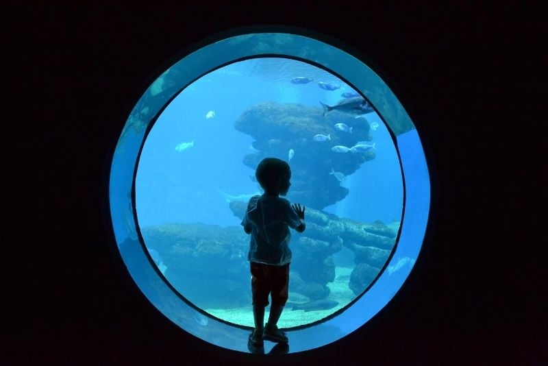 Acquario di Palma di Maiorca