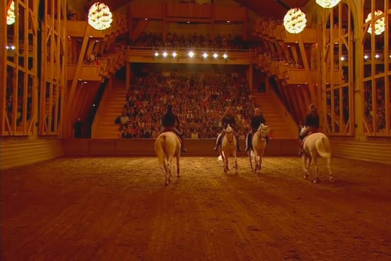 Accademia di arti equestri di Versailles