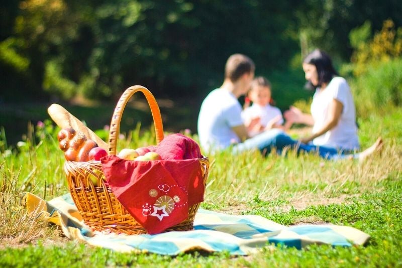 picnic en Madrid