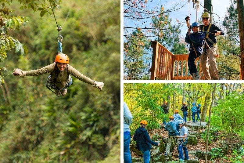 zipline in Nashville