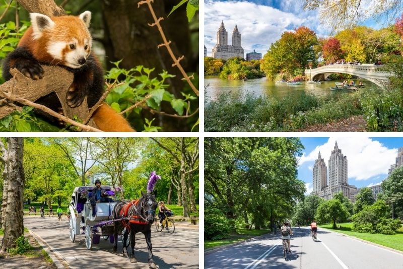 Central Park, NYC