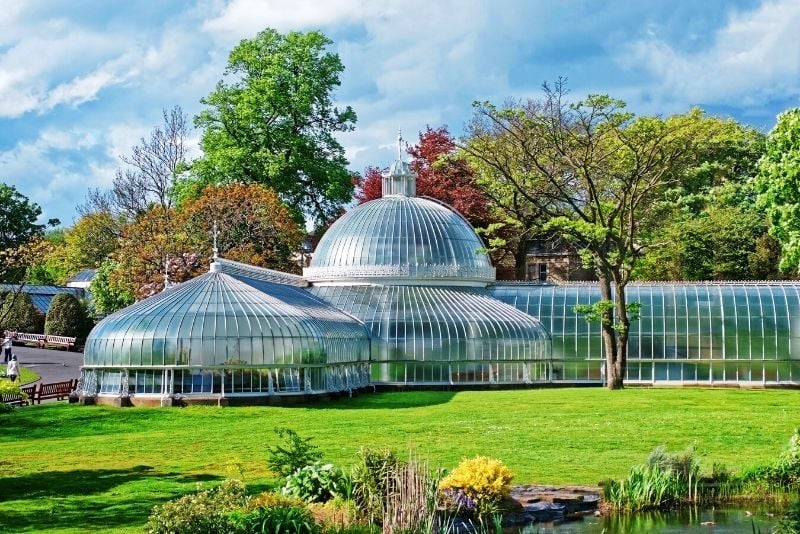 Glasgow Botanic Gardens