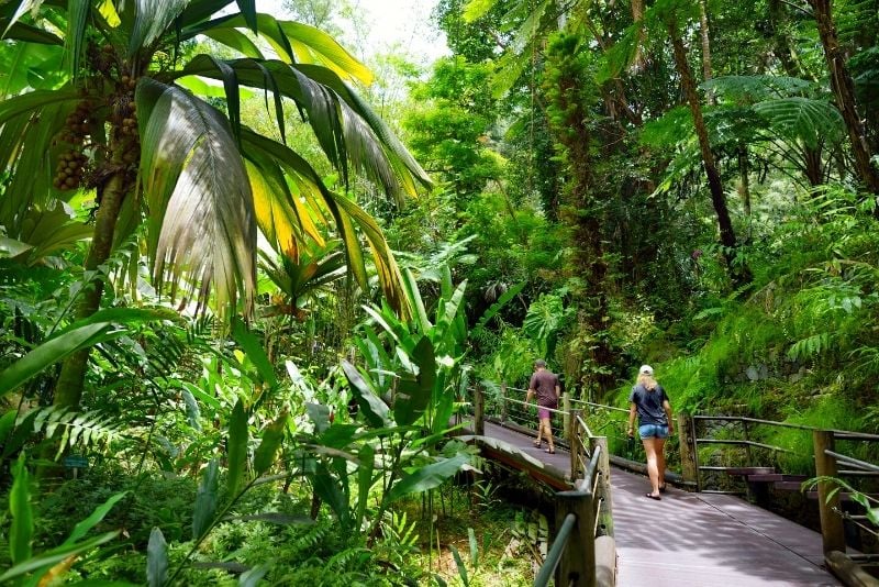 Hawaii Tropical Bioreserve and Garden, Big Island