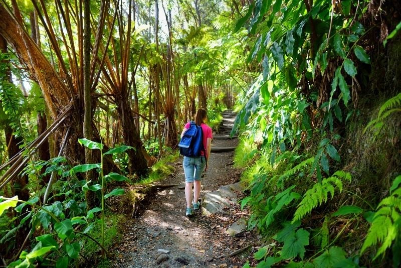 Kilauea Iki Trail in Hawaii Volcanoes National Park