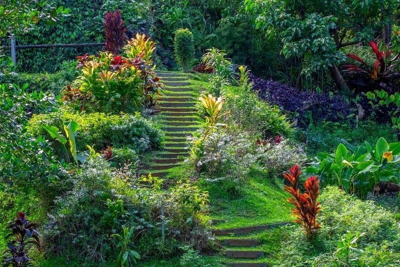 Princeville Botanical Gardens, Kauai