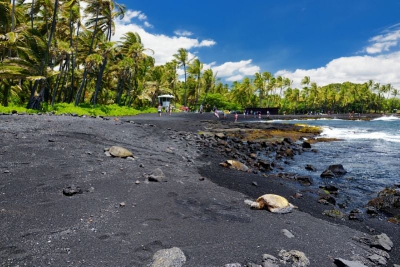 Punaluʻu Beach, Big Island