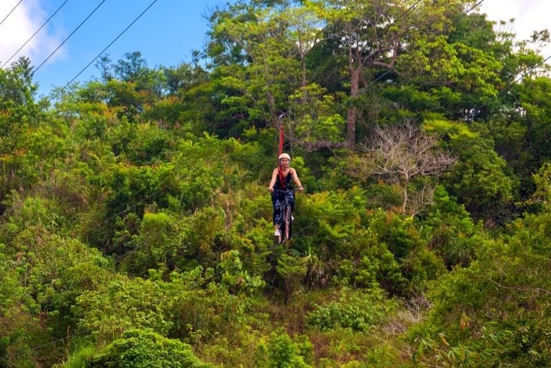 Toro Verde Adventure Park, Puerto Rico