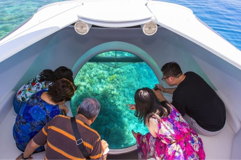 glass bottom boat tours in Key Largo