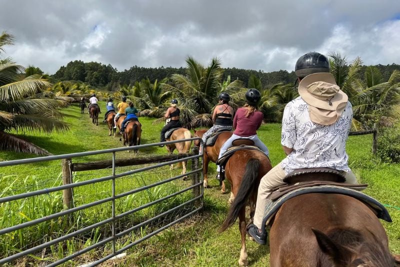 horse riding, Big Island