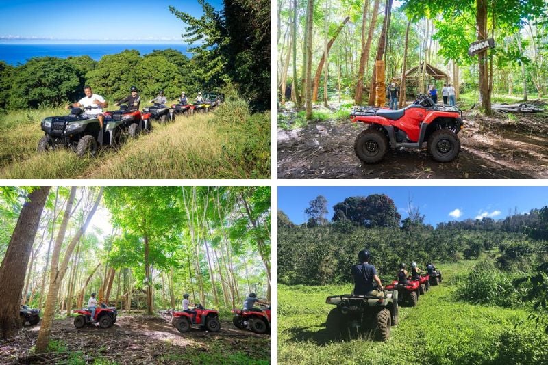 quad tours, Big Island