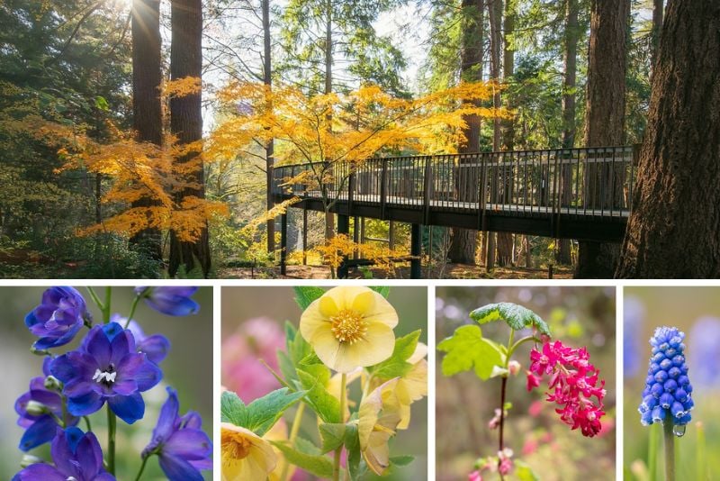 Leach Botanical Garden in Portland, Oregon