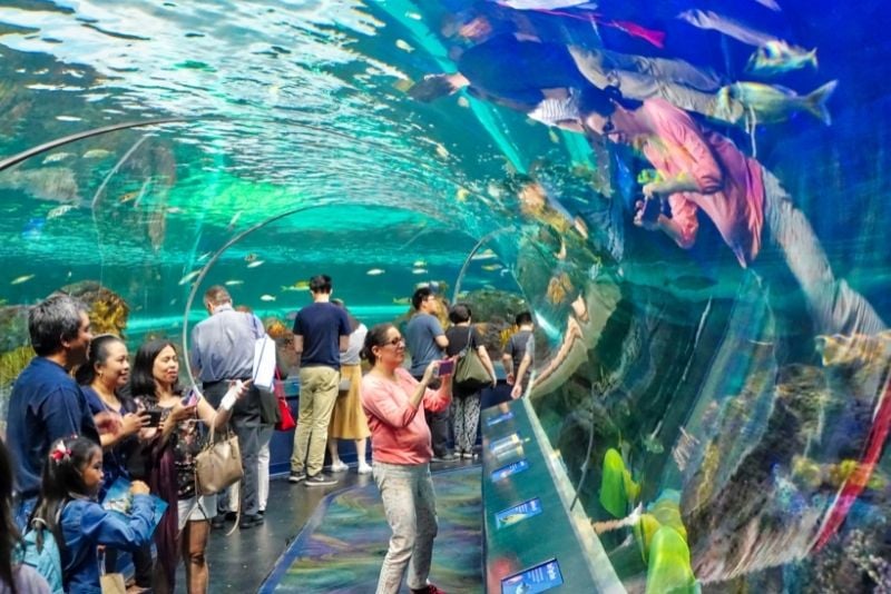 Ripley's Aquarium of Canada, Toronto