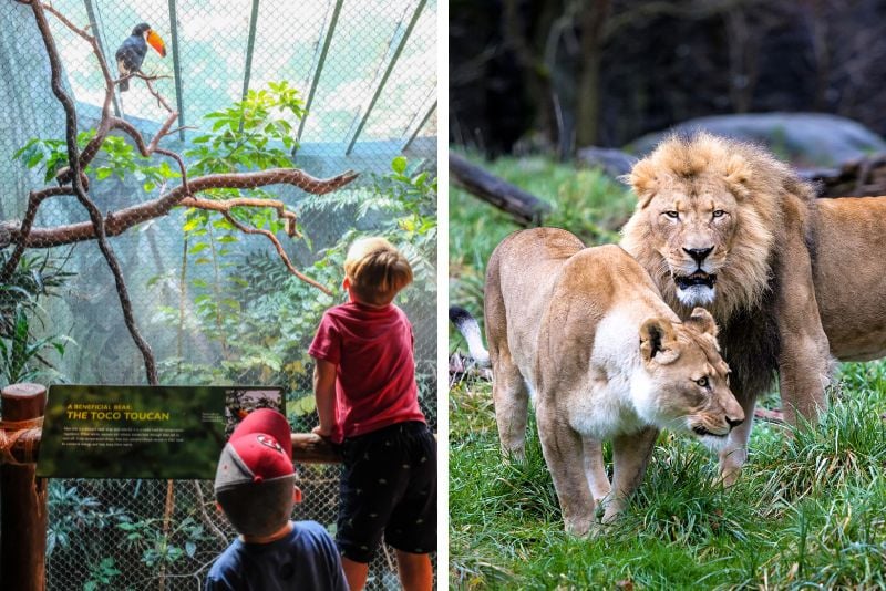 Woodland Park Zoo in Seattle