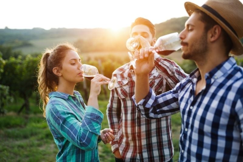 visites de dégustation de vin à Prague