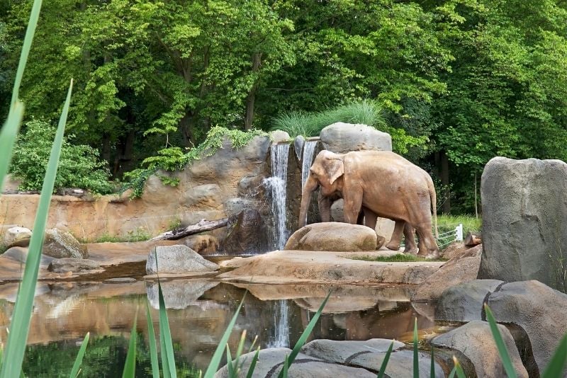 zoo de Prague