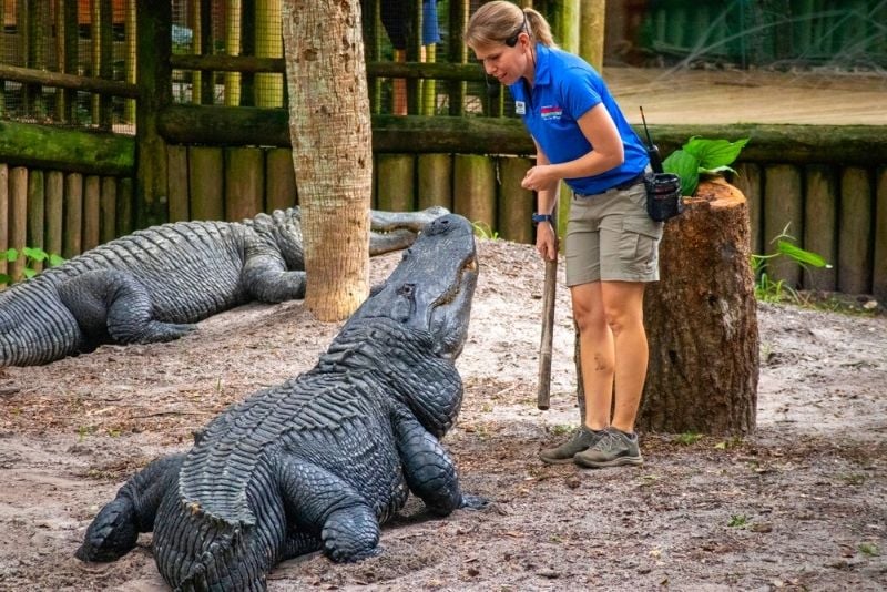 Alligator Farm Zoological Park, St Augustine