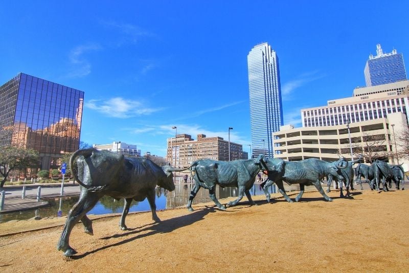 Cattle Drive Sculptures, Dallas