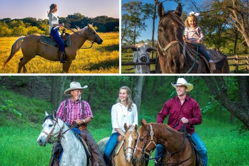 Horse riding in Houston, Texas