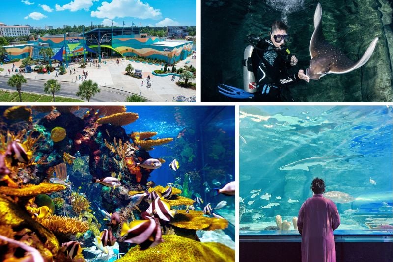 Ripley’s Aquarium in Myrtle Beach