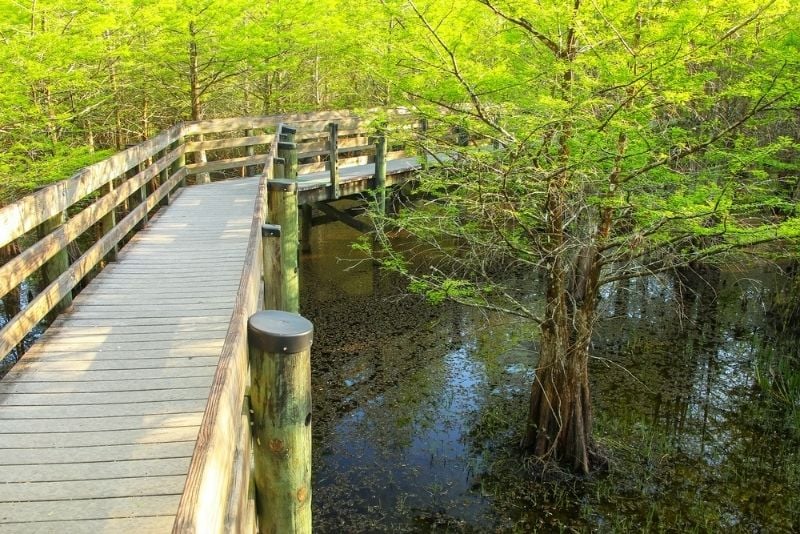 Six Mile Cypress Slough Preserve, Fort Myers