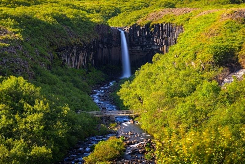 Riserva naturale di Skaftafell in Islanda