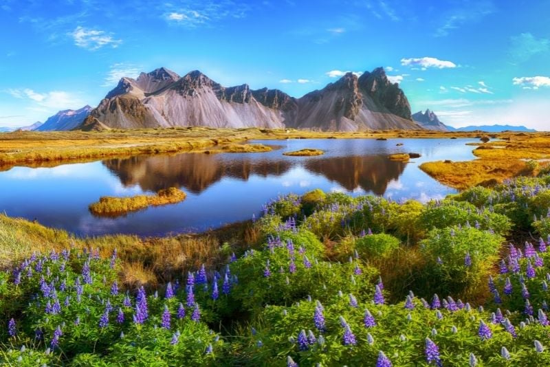 Penisola di Stokksnes, Islanda