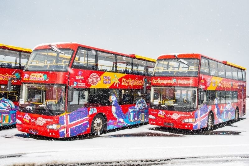 Busreisen, Reykjavik