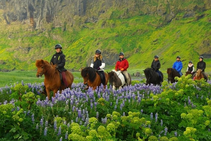 horse riding tours in Iceland