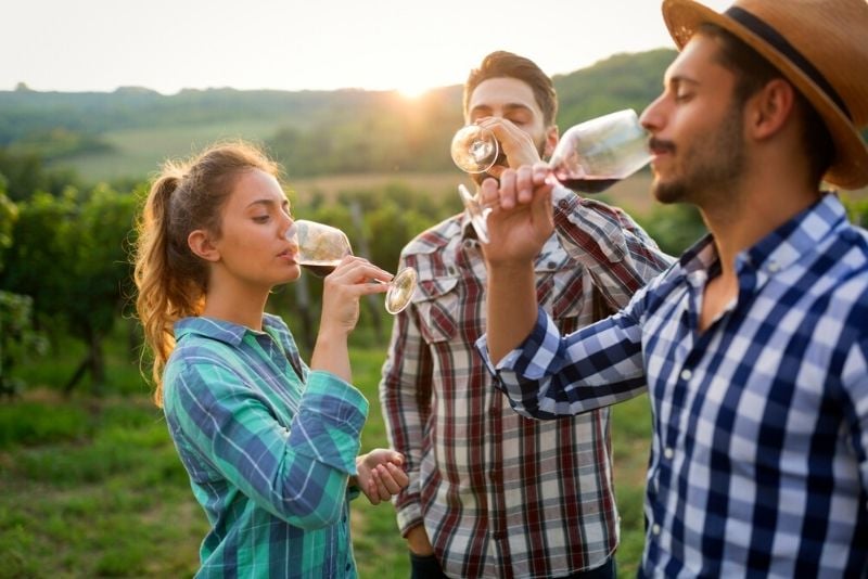 dégustations de vins à Budapest