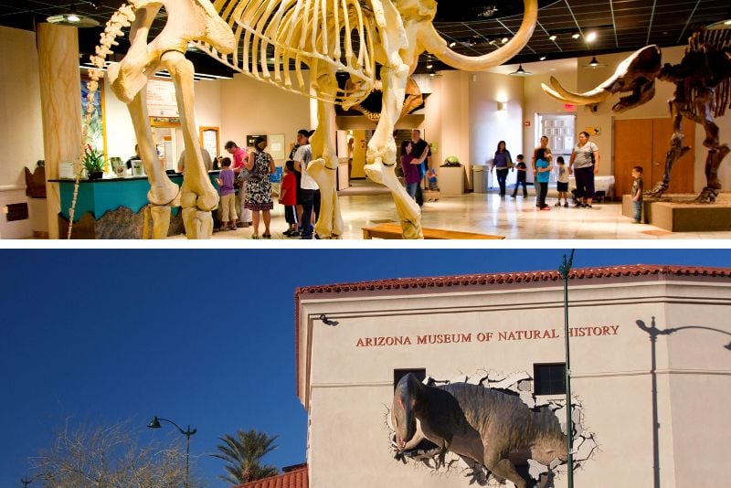 Arizona Museum of Natural History in Phoenix