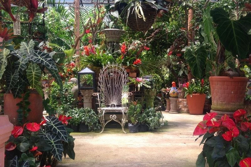 Botanical Gardens in Puerto Vallarta
