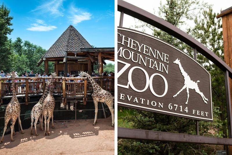 Cheyenne Mountain Zoo, Colorado