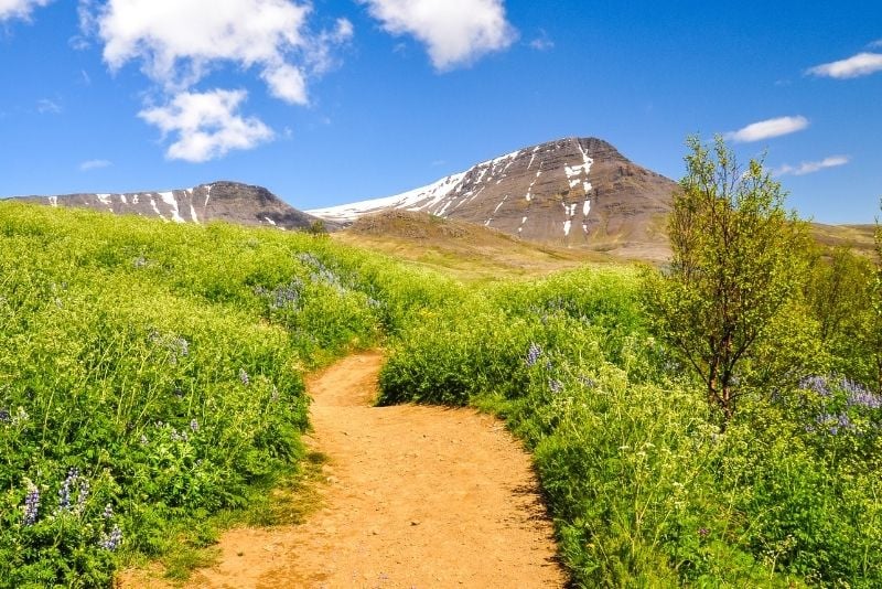 Berg Esja Wanderung, Reykjavik