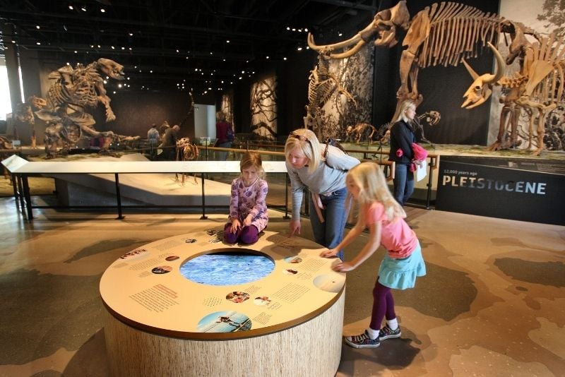 Natural History Museum of Utah, Salt Lake City