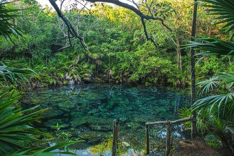 Tankah Cenotes Park, Mexiko