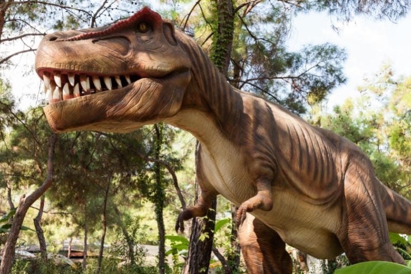 The Dinosaur Park, Austin