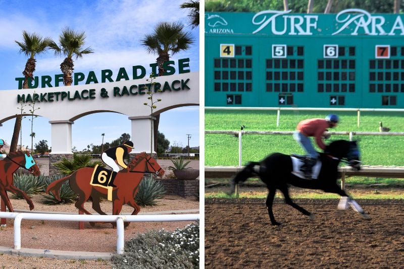 Turf Paradise in Phoenix