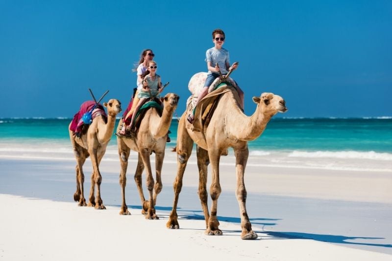 camel riding in Cabo San Lucas