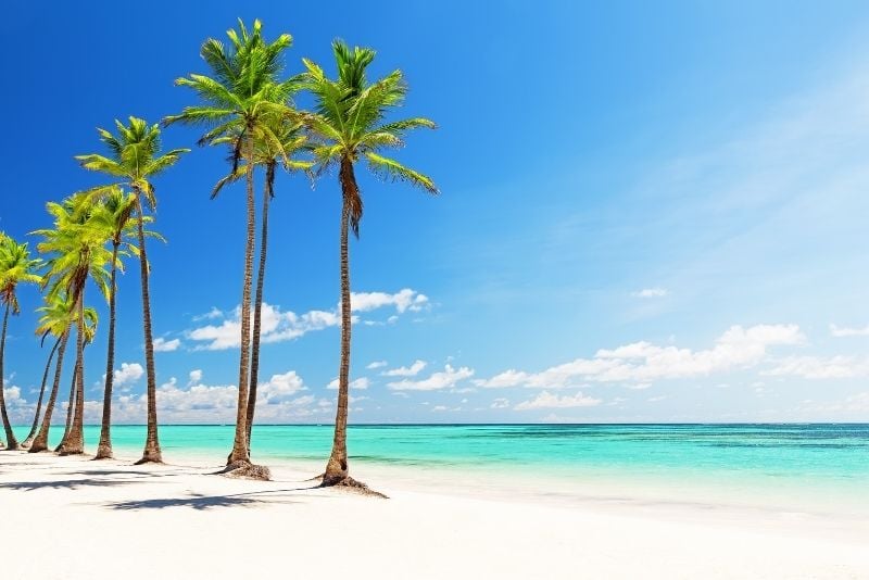 51 Fun Things to Do in Punta Cana, Dominican Republic TourScanner