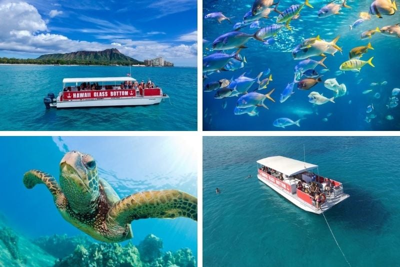 glass-bottom boat tour in Honolulu, Oahu